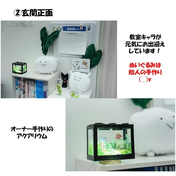 こんにちは！