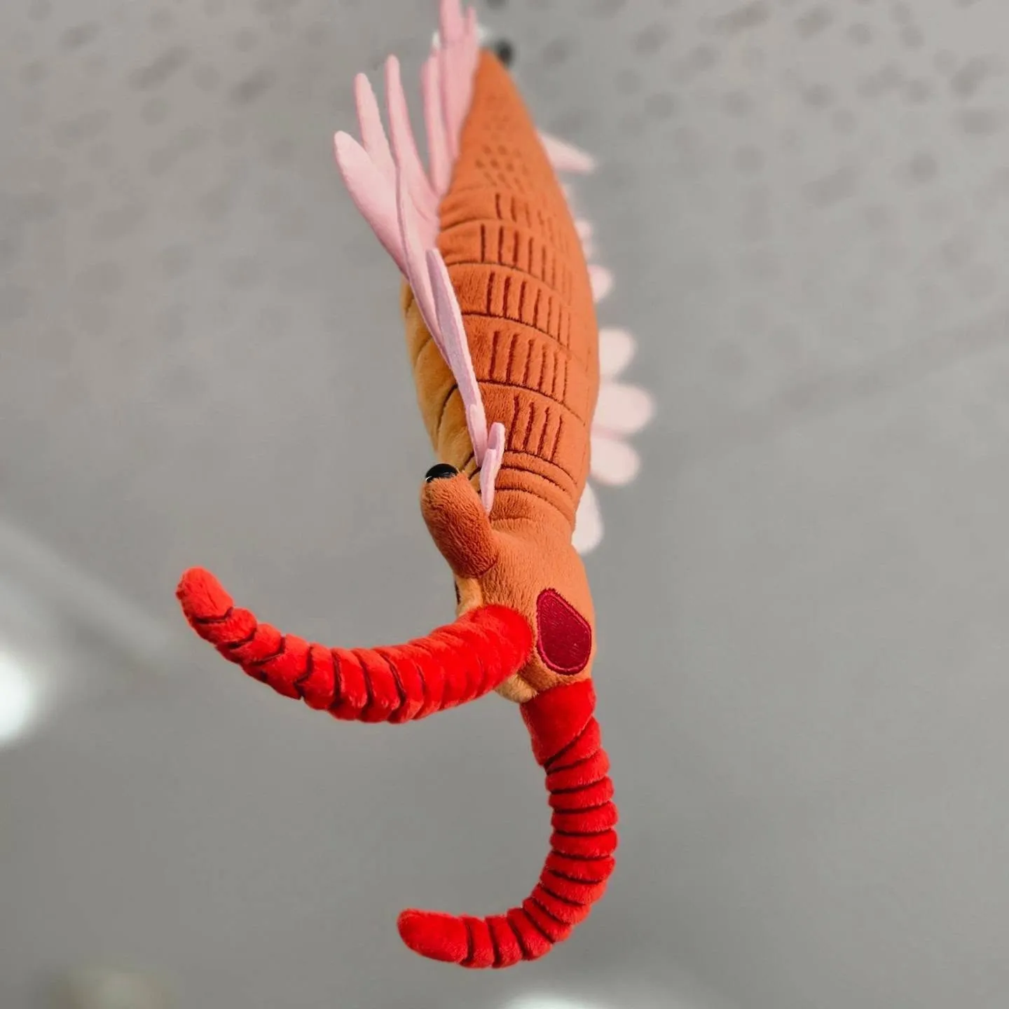 こんにちは