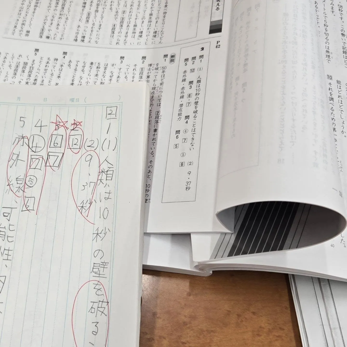 夏期講習もやっぱり学習塾ルート(^_^)v