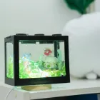 採用情報
